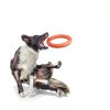PetSpy Dog Training Ring Puller Toy for Medium Large Dogs-4