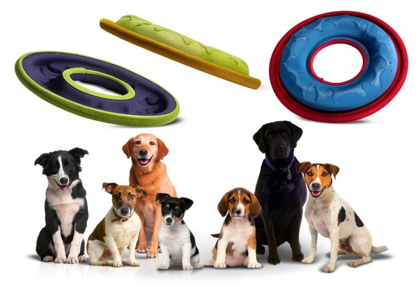 HONGEZEY Dog Flying Disc Waterproof Nylon Feeder Design-5