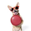 Kong Rubber Flyer Large Dog Flying Discs Red 2 Pack-5