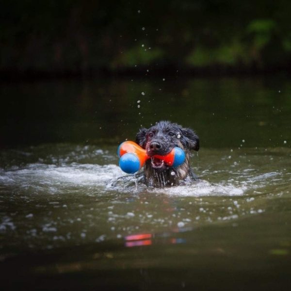Petmate Chuck It Tri Bumper Dog Toy Floating Fetch-5