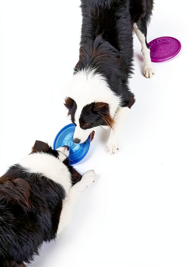 SUHEEUS Dog Flying Discs Durable Soft Rubber Chew Toy-6