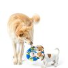Nerf Dog Tug Ring Fetch Toy for Large Dogs Durable-2