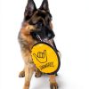 SHAKA Dog Flying Disc Durable Floating Water Bowl-7