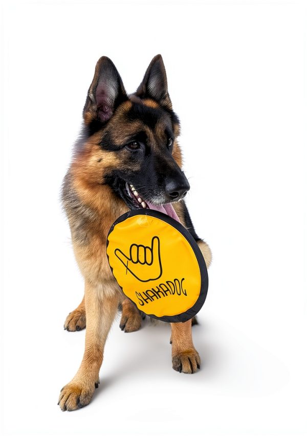 SHAKA Dog Flying Disc Durable Floating Water Bowl-7