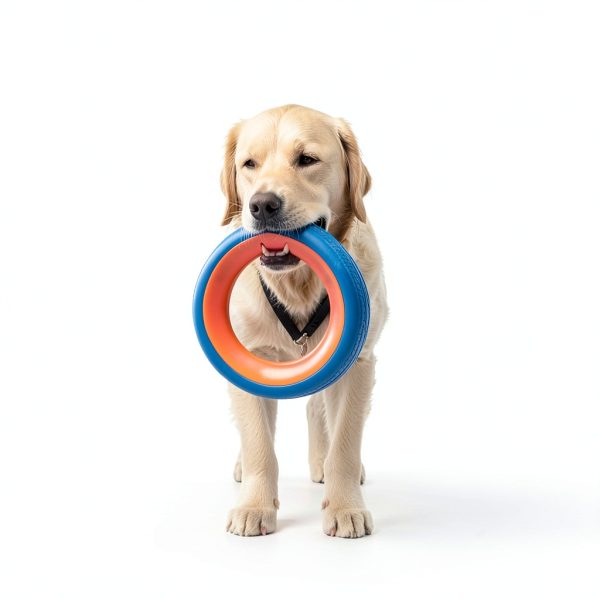 Chuckit Flying Disc Durable Dog Toy Fetch Play Large Dogs-4
