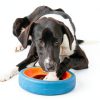Chuckit Flying Disc Durable Dog Toy Fetch Play Large Dogs-3