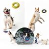 HONGEZEY Dog Flying Disc Waterproof Nylon Feeder Design-3