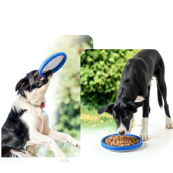 Nobleza Dog Frisbee Soft Indestructible Flying Disc Toy-5