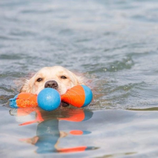 Petmate Chuck It Tri Bumper Dog Toy Floating Fetch-4