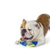 Nerf Dog Tug Ring Fetch Toy for Large Dogs Durable-1