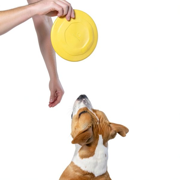 WoofBite Dog Flying Discs for Aggressive Chewers-5