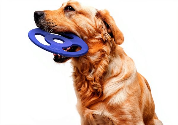 Tuff Pupper Dog Flying Disc Tug Toy-4