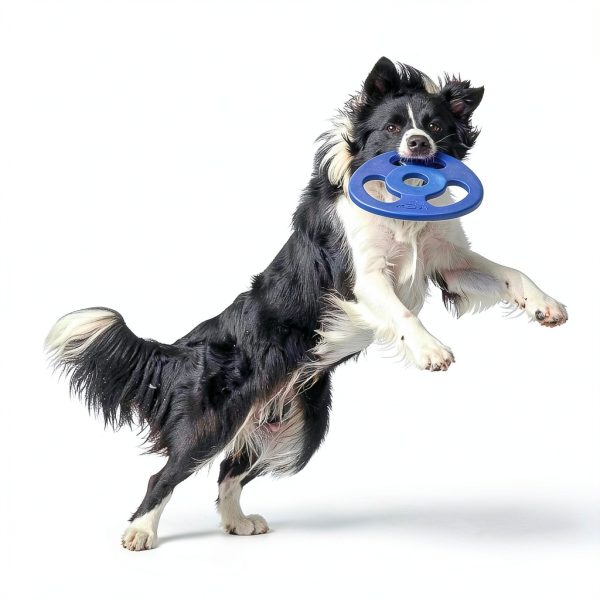 Tuff Pupper Dog Flying Disc Tug Toy-3
