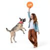 Nerf Nylon Flyer Dog Toy Gramercy Orange Disc-3