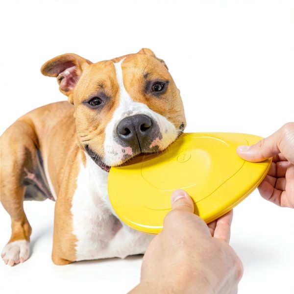 WoofBite Dog Flying Discs for Aggressive Chewers-1