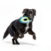 Chuckit! Glow-in-the-Dark Flying Disc for Dogs-5