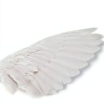 Charisma House Soteriology Study Guide Kindle Edition 2017 Publication-0