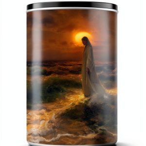 Soteriology Christian Theology eBook by St Theophan Press 364 Pages-0