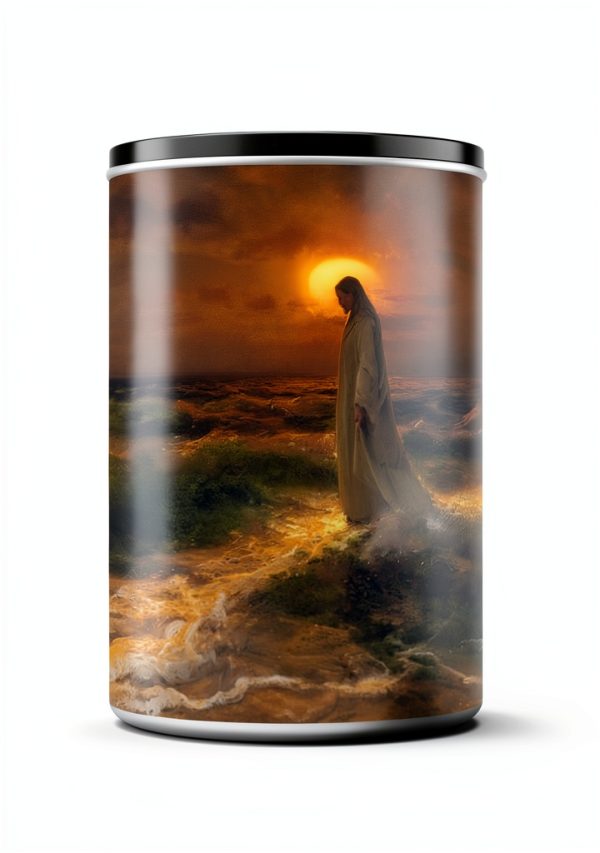 Soteriology Christian Theology eBook by St Theophan Press 364 Pages-0