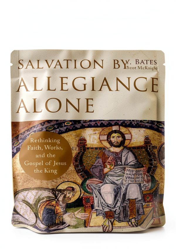 Baker Academic Kindle Edition Soteriology Theology eBook 365 Pages-0